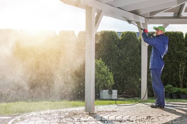 Animal Enclosure Cleaning in Wellington, OH